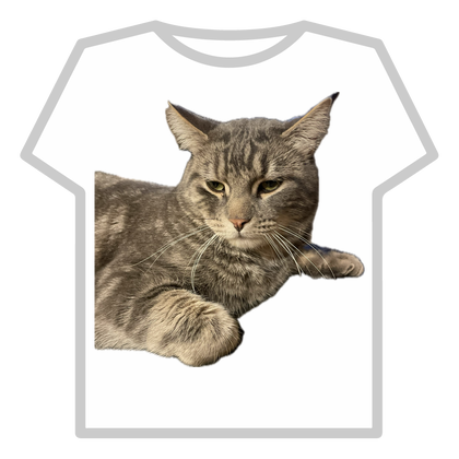 kitter thumbnail